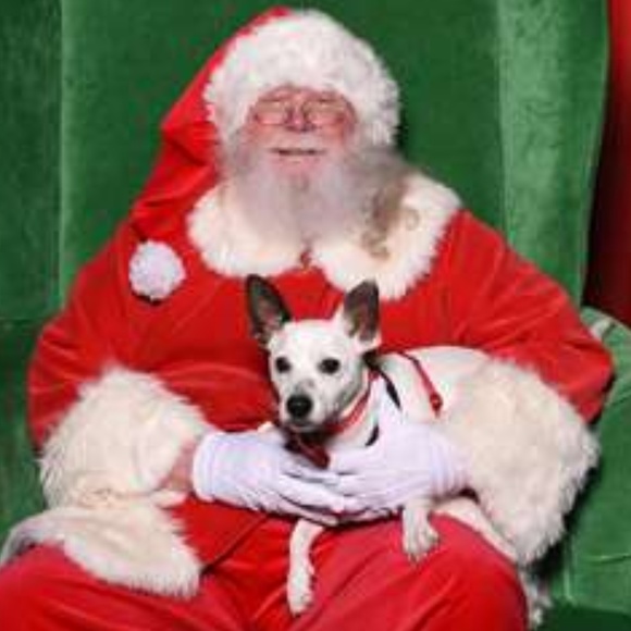 Meet your Posher, Jeanne - Picture 2 of 2